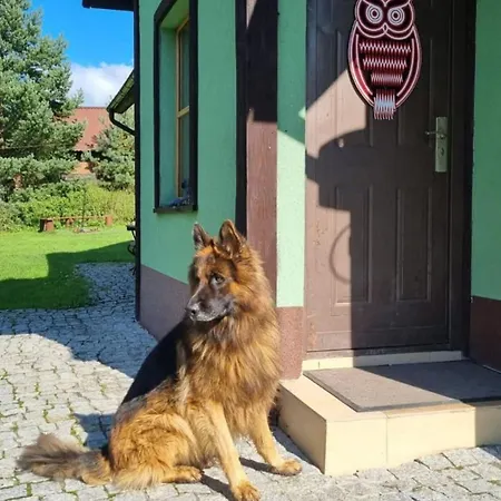 Willa Dach Pod Sową Ludwikowice Kłodzkie Zewnętrze zdjęcie