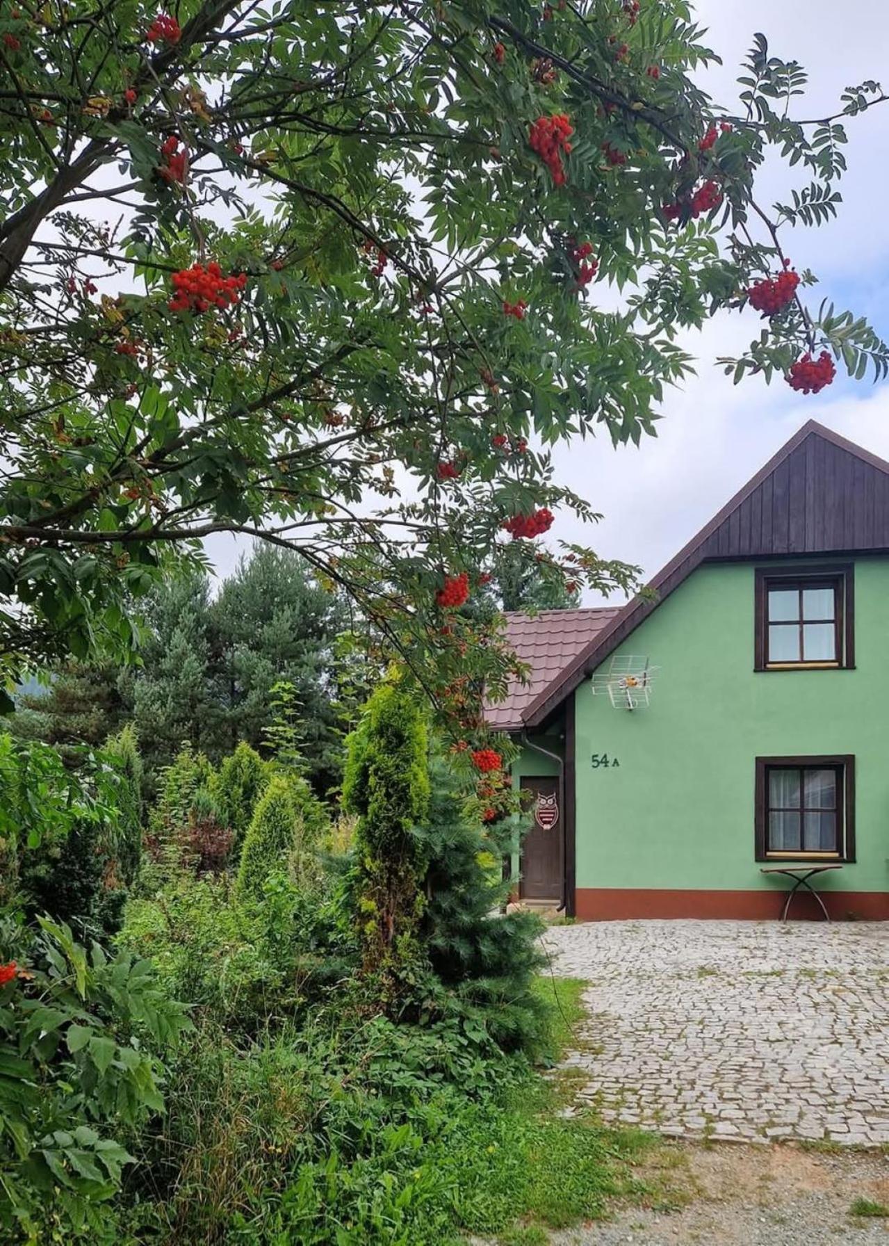 Дерев'яний котедж Dach Pod Sowa